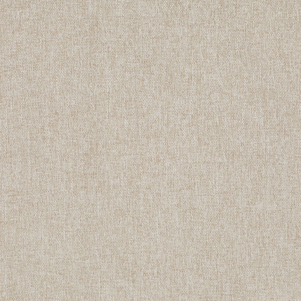 Microla_501