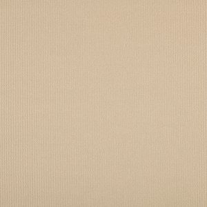 Parasol_Wat177